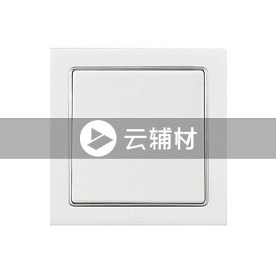 AN119 一位中间开关 10AX (白色)