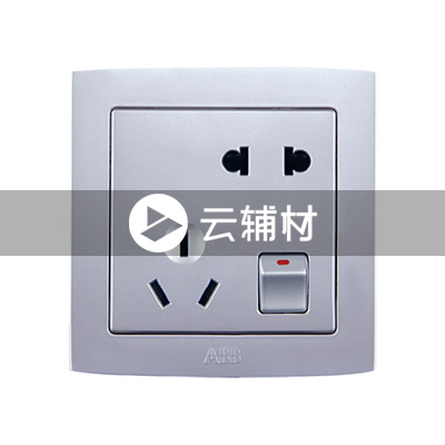 AS225-S二位二、三极带开关插座 （银色）10A