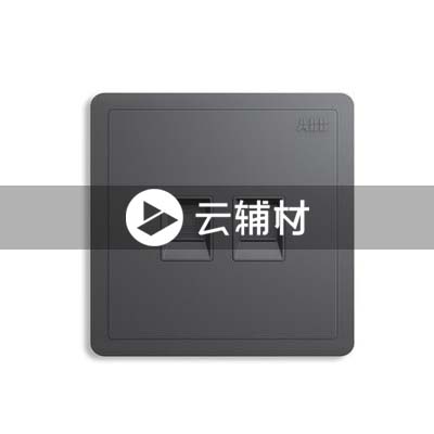 AQ332-EG二位八芯电脑插座，灰色