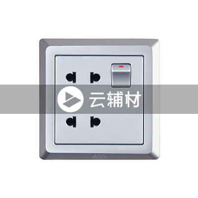 AE222-S 二位二极扁圆两用带开关插座（银色） 10A