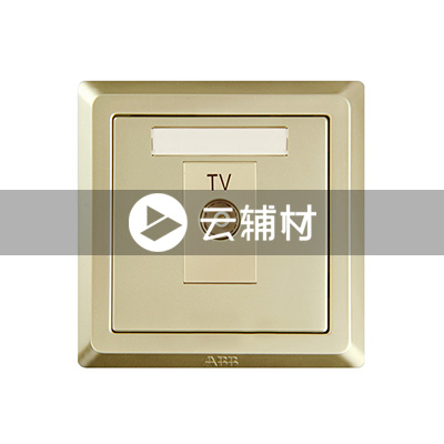 AE301-PG 一位电视插座（香槟金）