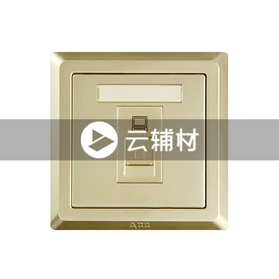 AE331-PG 一位八芯电脑插座 超5类 RJ45（香槟金）