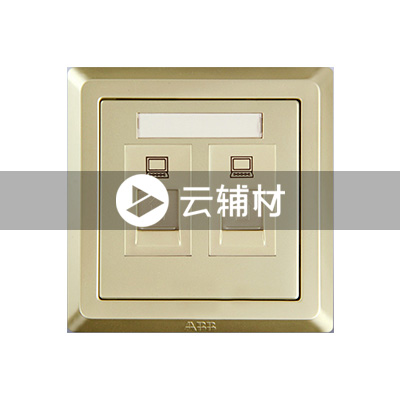 AE332-PG 二位八芯电脑插座 超5类 RJ45（香槟金）
