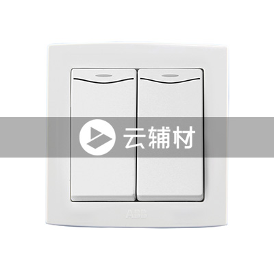 AL132二位单控带装饰线开关 10AX