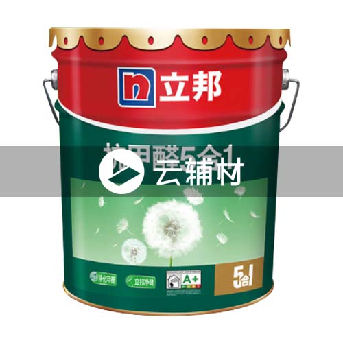 立邦抗甲醛净味5in1  18L