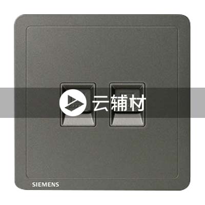 西门子致琦月银灰二位电脑插座CAT5E