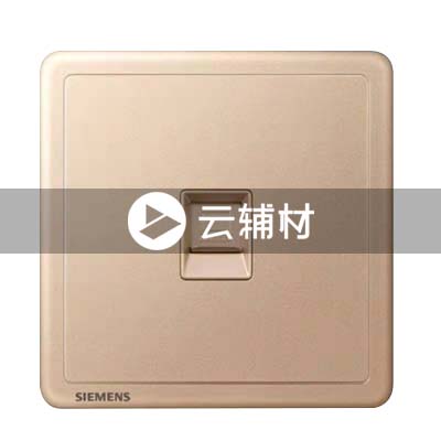 西门子致琦日耀金一位电脑插座CAT5E