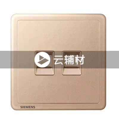 西门子致琦日耀金二位电脑插座CAT5E