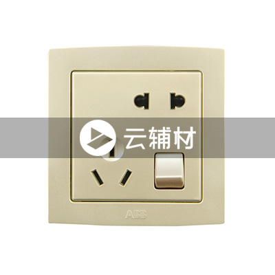AL225-PG 二位二、三极带开关插座 10A（珍珠金）