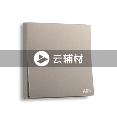 AF119-PG一位中间开关 10AX